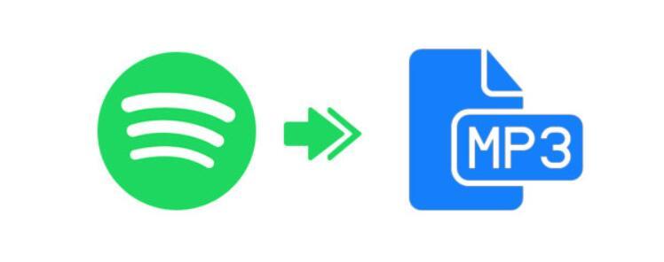 FAQs About Spotify to MP3 Converter Online for Free